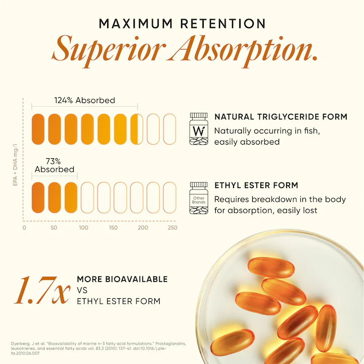 6x Strength Omega 3 Fish Oil - Image 4