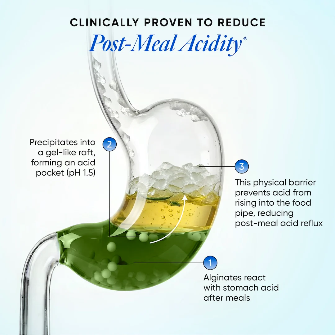 Acidity Calm | Acid Reflux & Heartburn Relief | For Seniors | 20 servings - Image 8