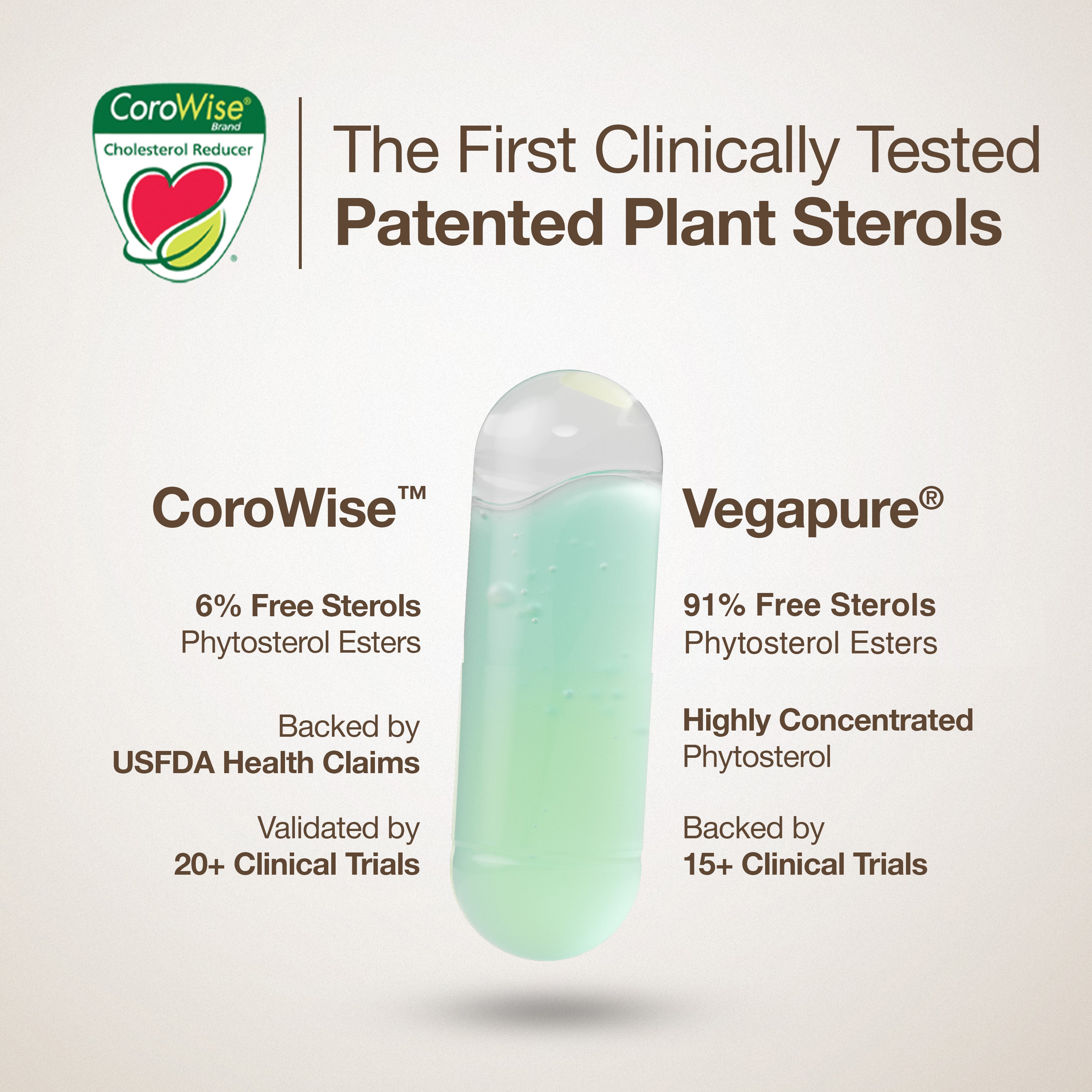 Cholesterol Control Slow - Image 3