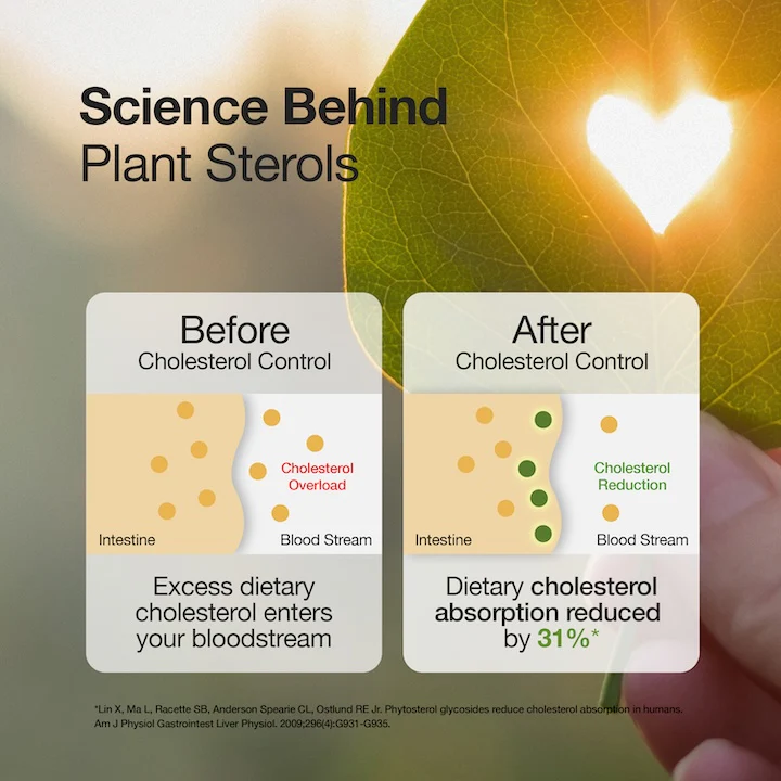 Cholesterol Control Slow - Image 4