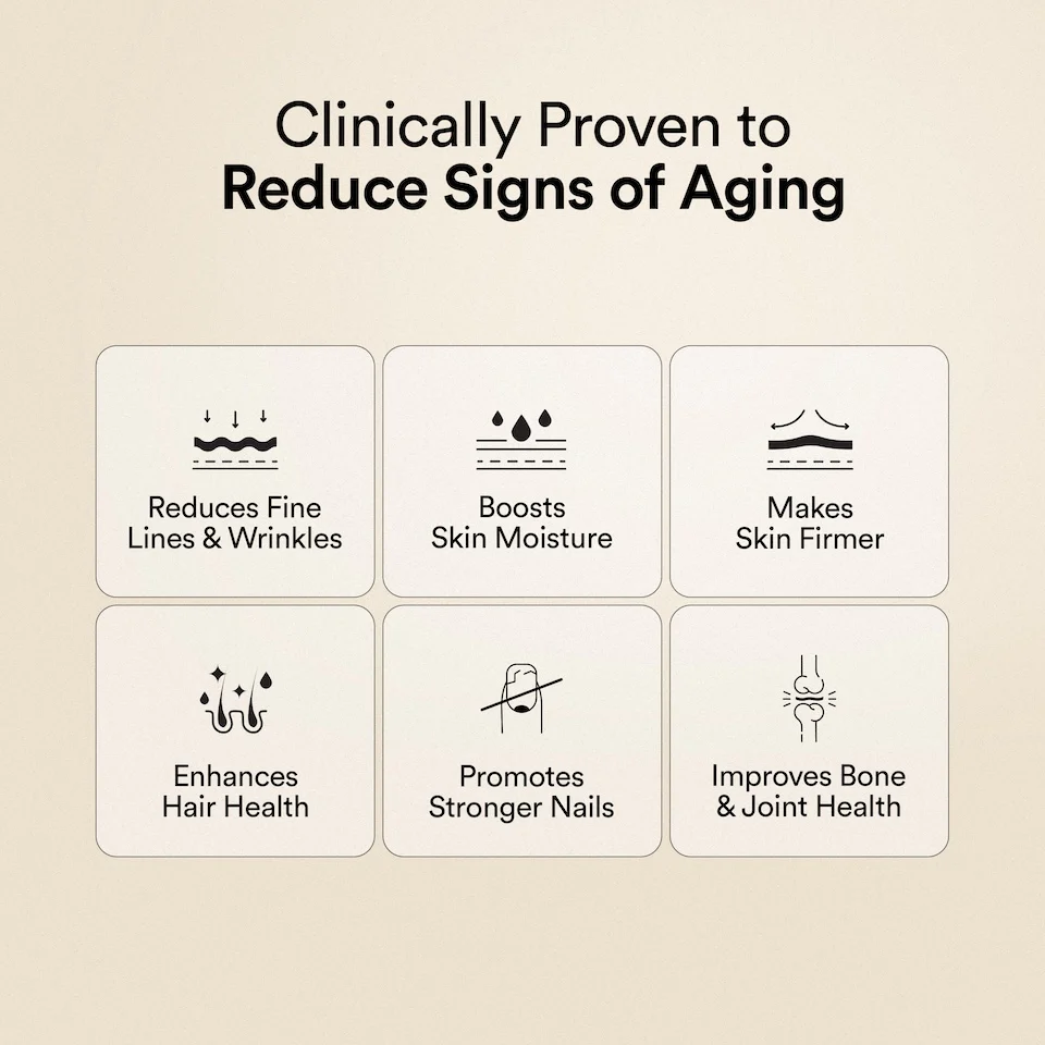 Korean Marine Collagen Peptides Gift Sachets - Image 3