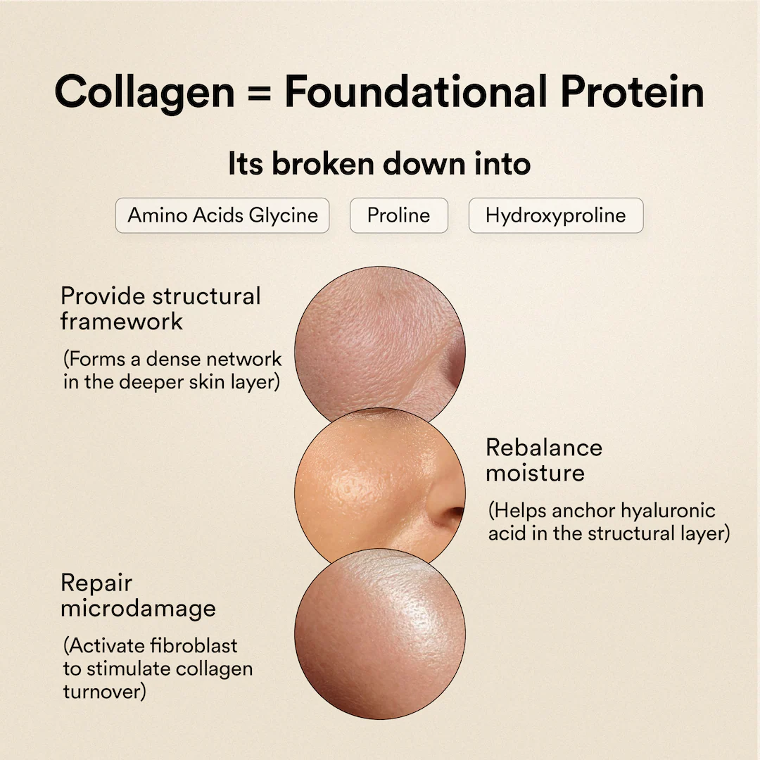 Korean Marine Collagen - Blueberry Mint - Image 8