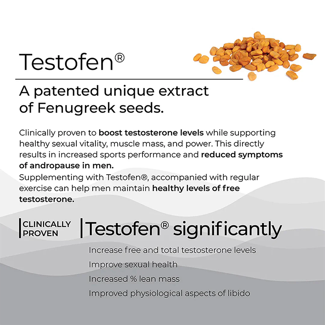 Testo Power - Image 4