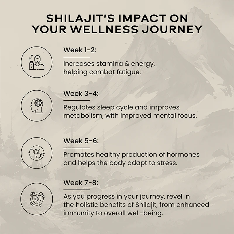 Shilajit Resin - Image 6