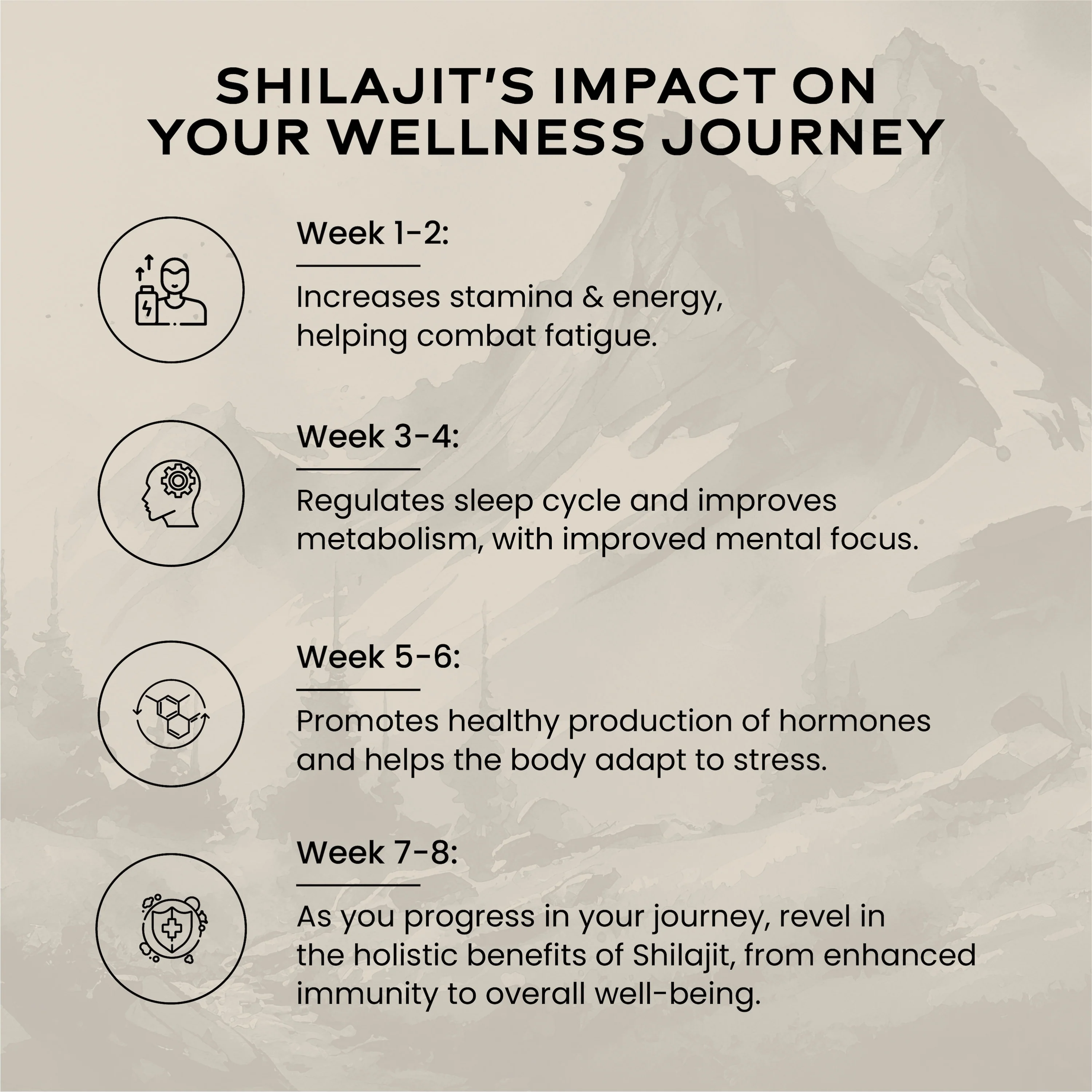 Shilajit Resin 10gm - Image 6