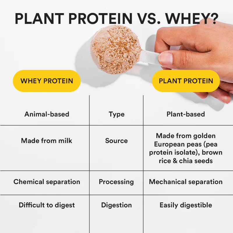 Her Superfood Plant Protein | Chocolate Peanut Butter - Image 4