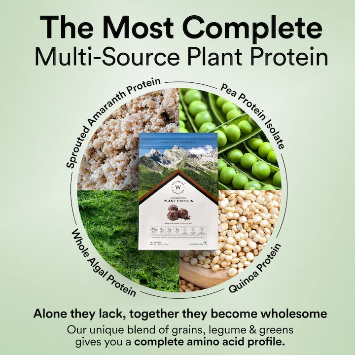 Vegan Protein 22g | 907g | 3B CFU Probiotics | Belgian Dark Chocolate - Image 3
