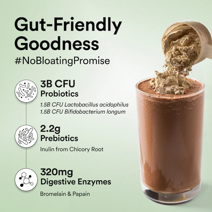 Vegan Protein 22g | 907g | 3B CFU Probiotics | Belgian Dark Chocolate - Image 4
