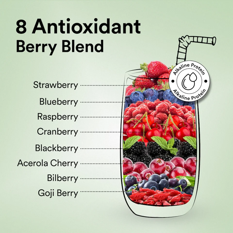 Vegan Protein 22g | 500g | 3B CFU Probiotics | Canadian Mixed Berry - Image 5