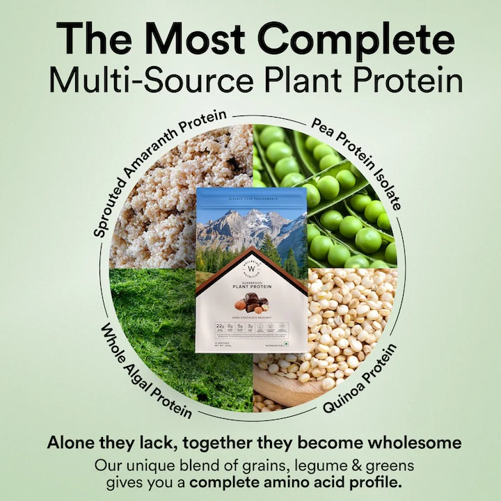 Vegan Protein 22g | 500g | 3B CFU Probiotics | Dark Chocolate Hazelnut - Image 3