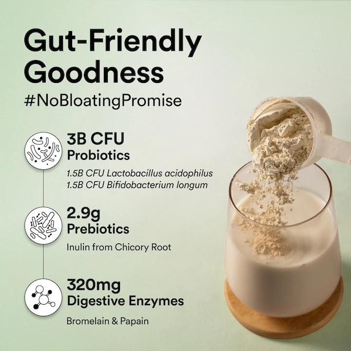 Vegan Protein 22g | 500g | 3B CFU Probiotics | French Vanilla Caramel - Image 4