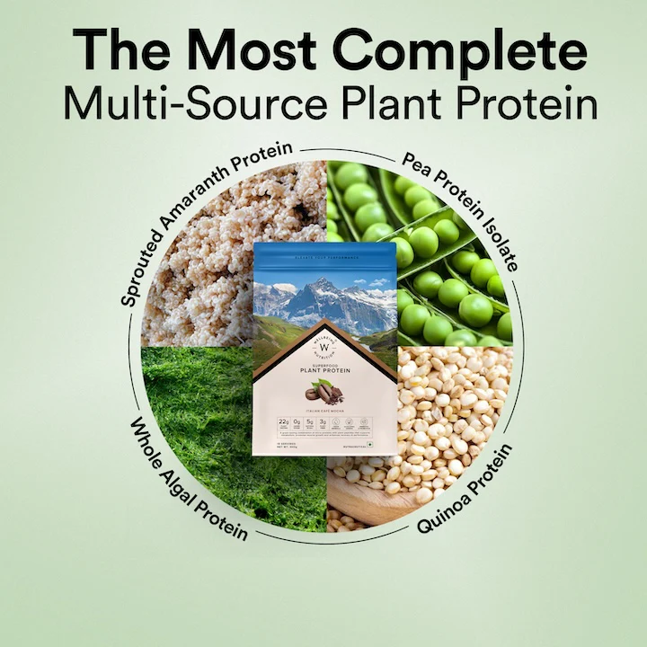 Vegan Protein 22g | 500g | 3B CFU Probiotics | Italian CafÃƒÆ’Ã¢â‚¬Å¡Ãƒâ€¦Ã‚Â½ Mocha - Image 3