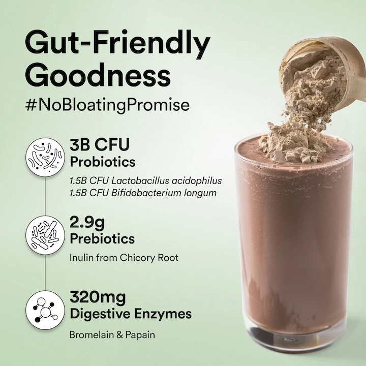 Vegan Protein 22g | 500g | 3B CFU Probiotics | Italian CafÃƒÆ’Ã¢â‚¬Å¡Ãƒâ€¦Ã‚Â½ Mocha - Image 4
