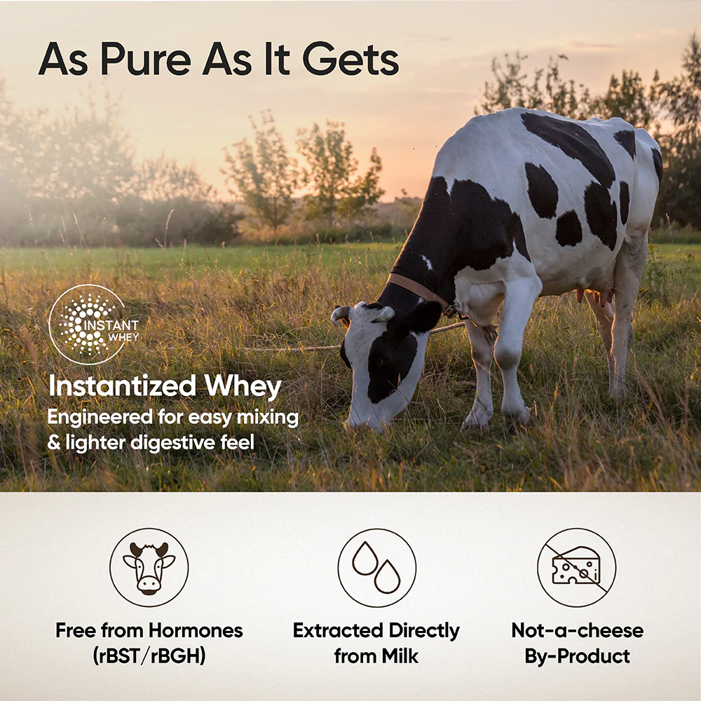 Whey Protein Isolate + Concentrate 24g | 1kg| 4B CFU Probiotics | Cappuccino - Image 6