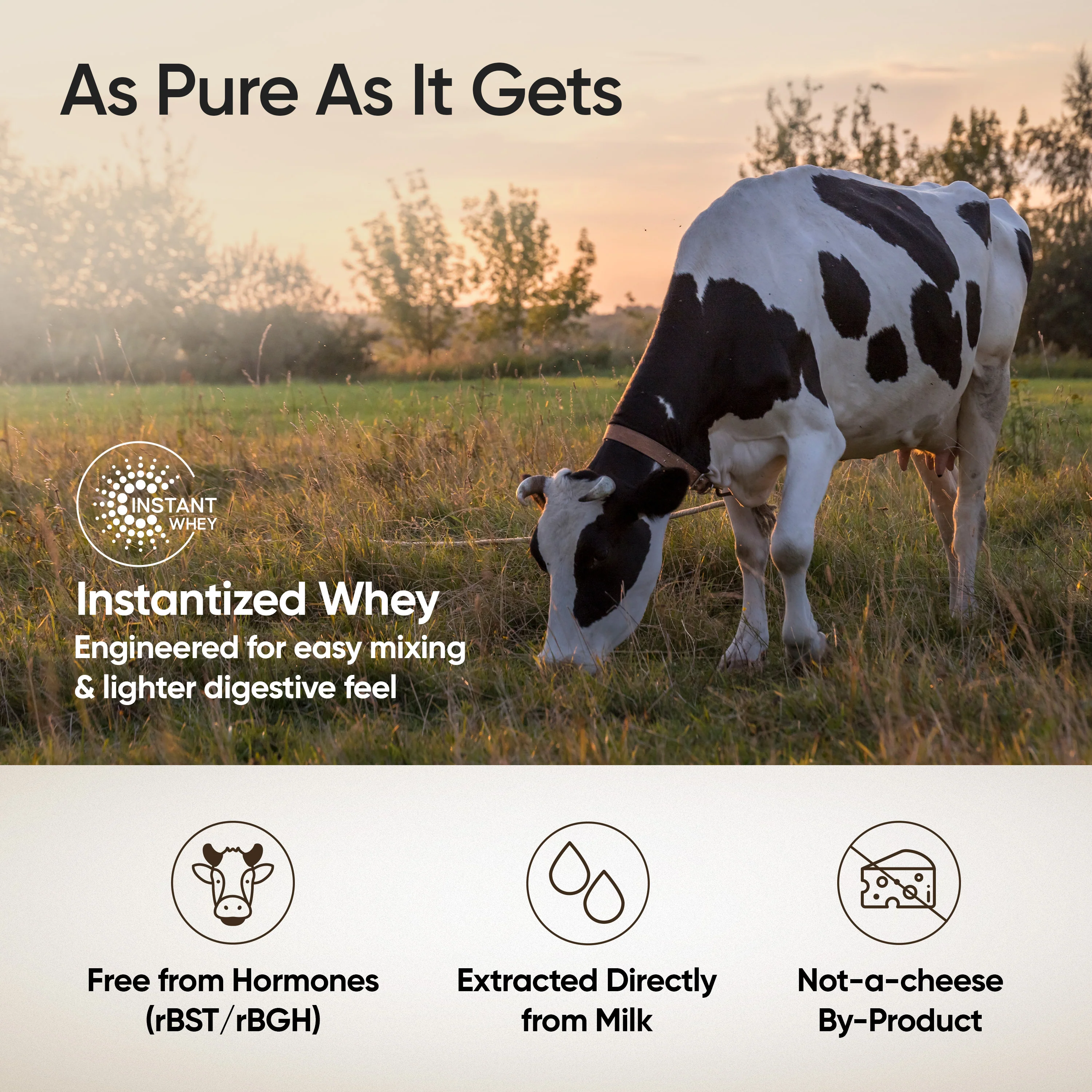 Whey Protein Isolate + Concentrate 24g | 1kg | 4B CFU Probiotics | Swiss Chocolate - Image 5
