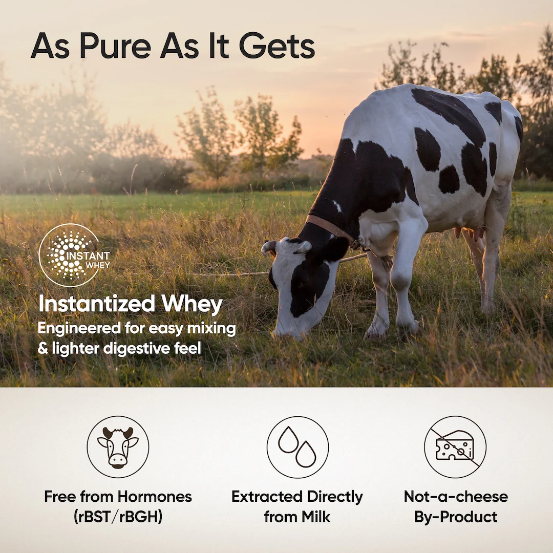 Whey Protein Isolate 26g | 1kg | 4B CFU Probiotics | Dark Chocolate - Image 5